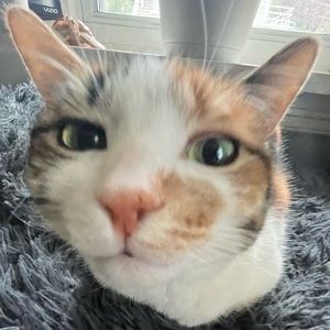 Meet your Posher, Ayla